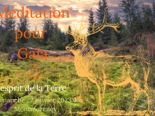 Méditation pour Gaïa à Montmorency